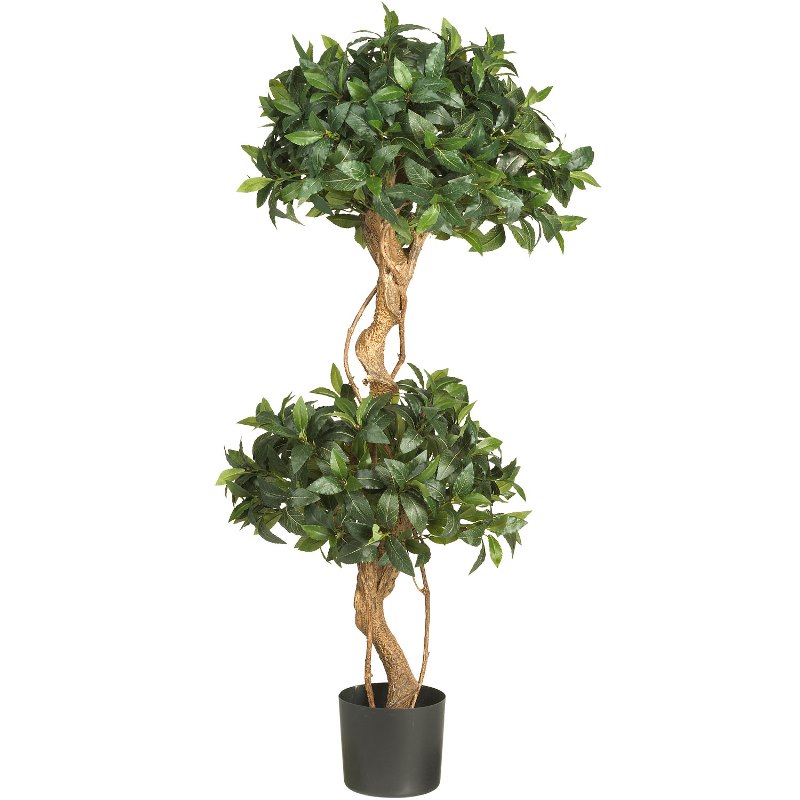 double ball tree, двойные кроны, формирование, обрезание, две кроны, обрезание, деревья, сад, дизайн, декор