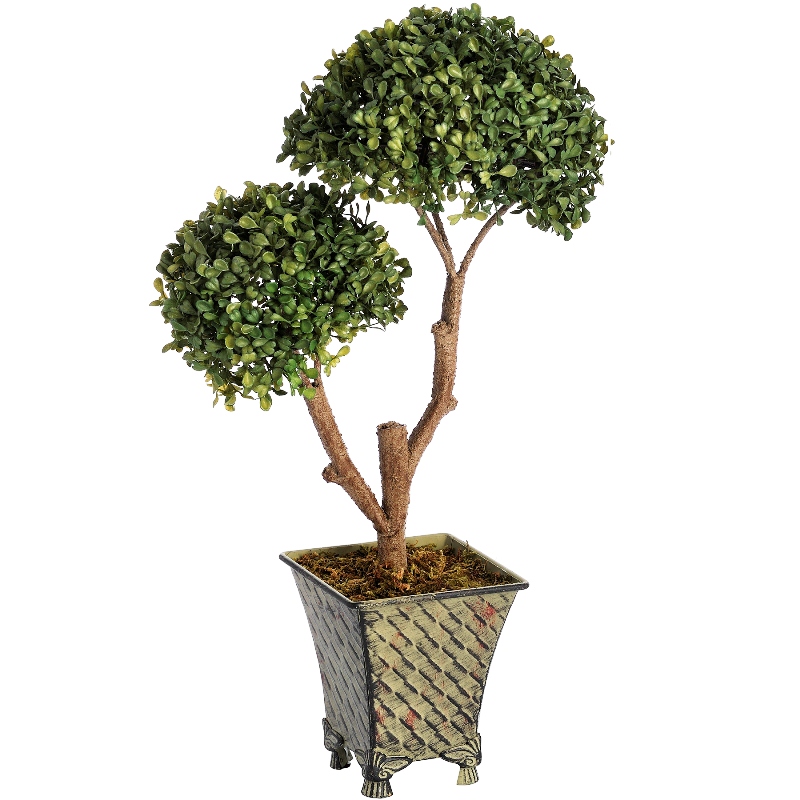double ball tree, двойные кроны, формирование, обрезание, две кроны, обрезание, деревья, сад, дизайн, декор